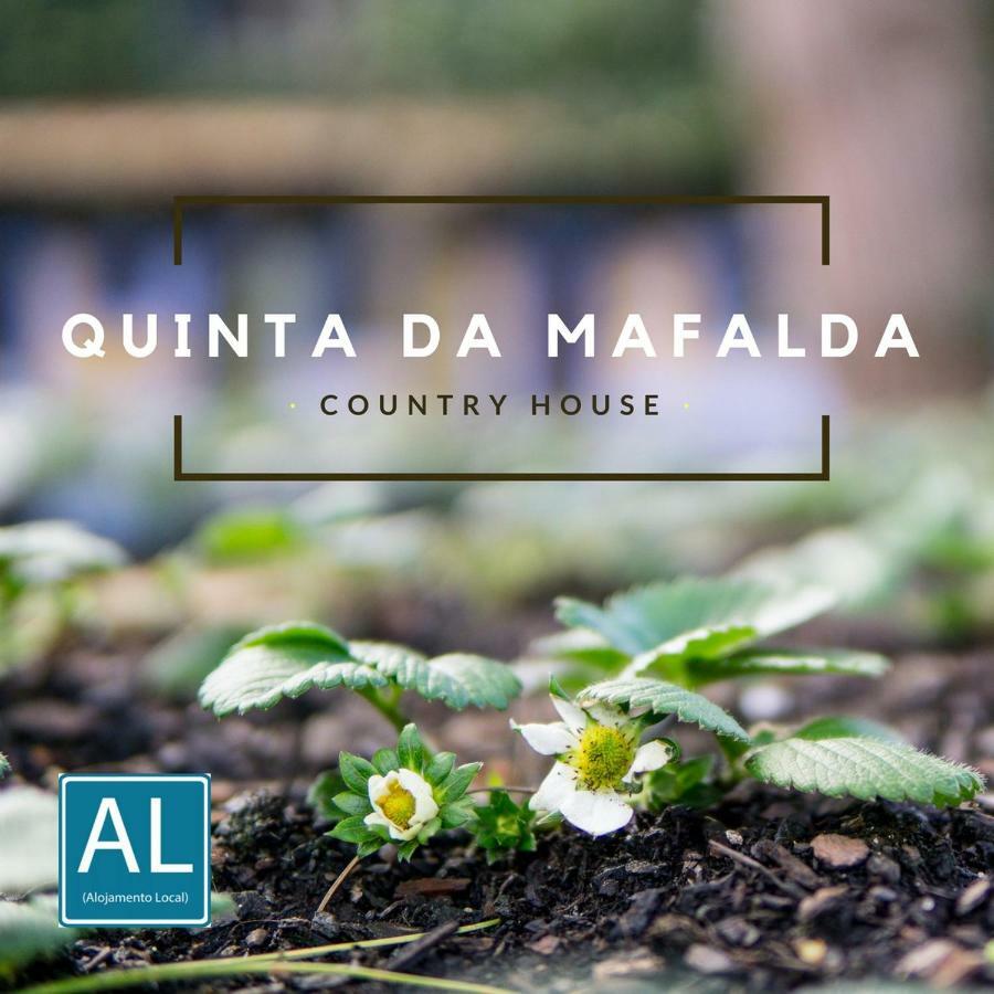 Quinta Da Mafalda Mira  Eksteriør billede